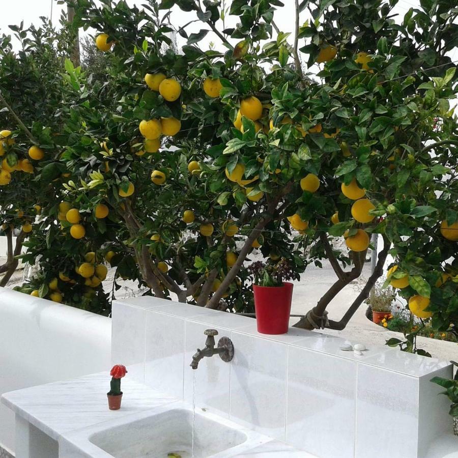 Matilda Milos - Cycladic Living Apartment Triovasálos Екстериор снимка